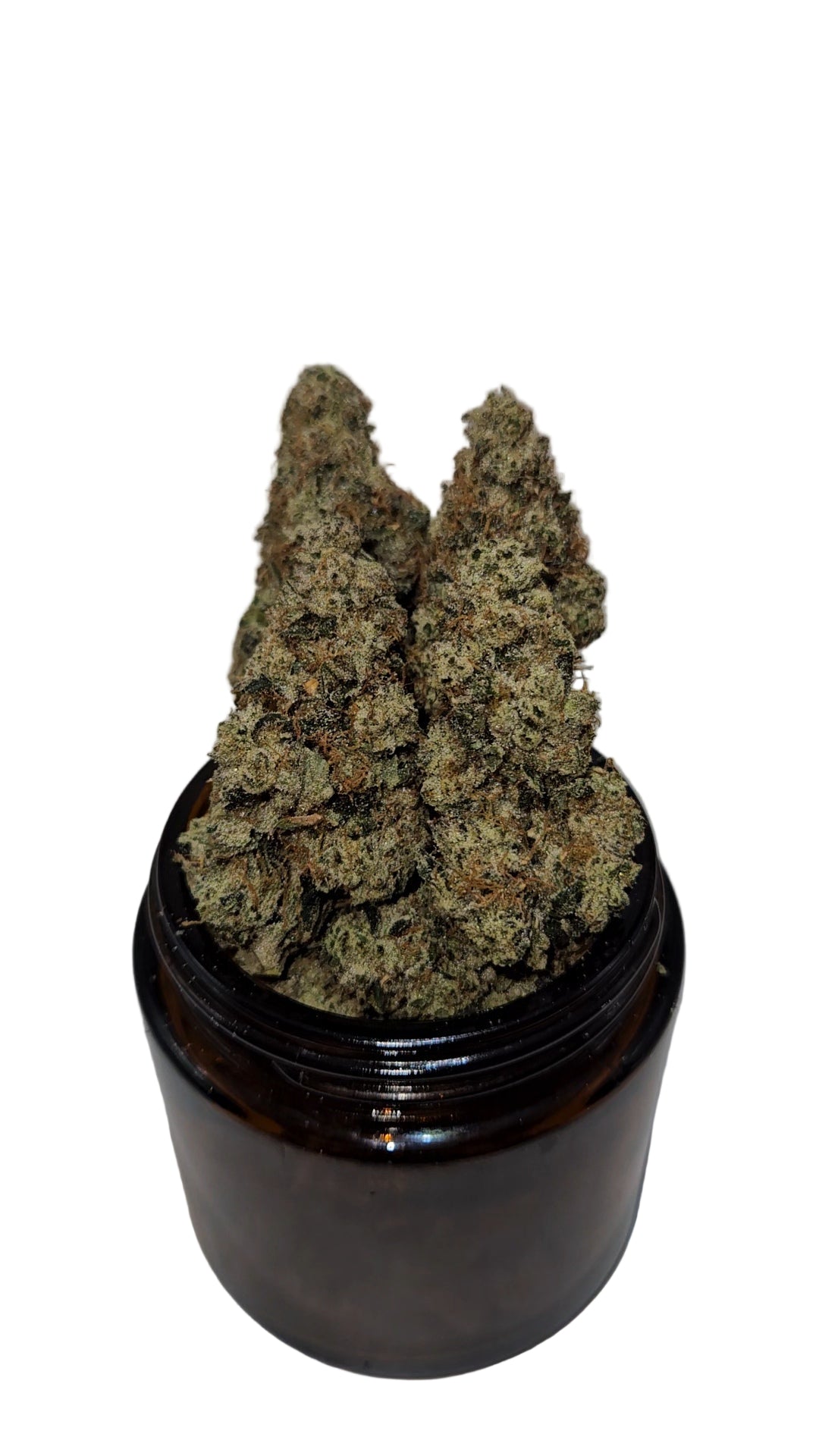 Ghost OG - Top Shelf Indoor