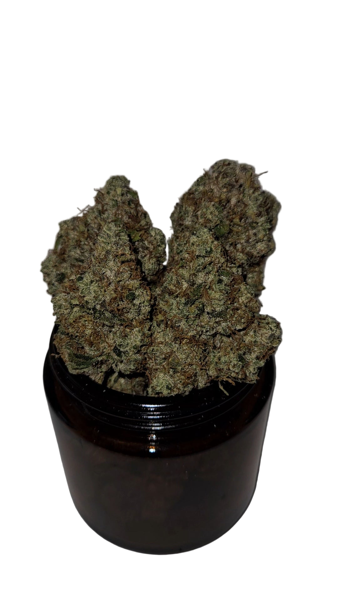 Larry OG - Top Shelf Indoor