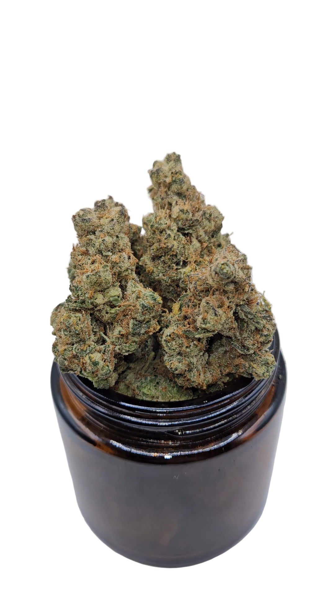 GMO - Top Shelf Indoor