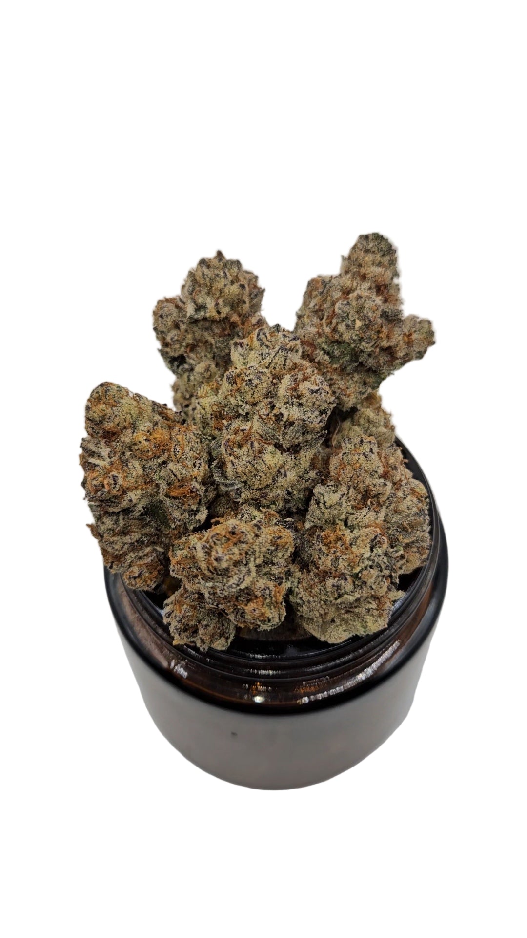 Slurricane - Top Shelf Indoor