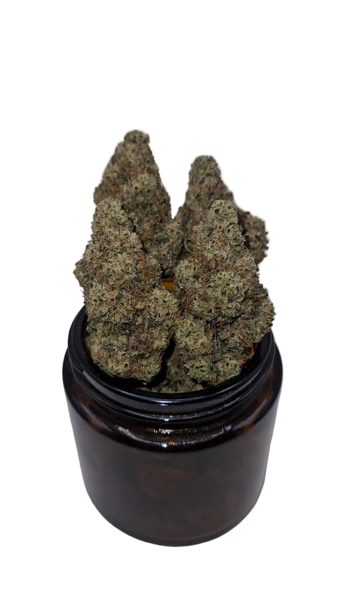 Larry OG - Top Shelf Indoor
