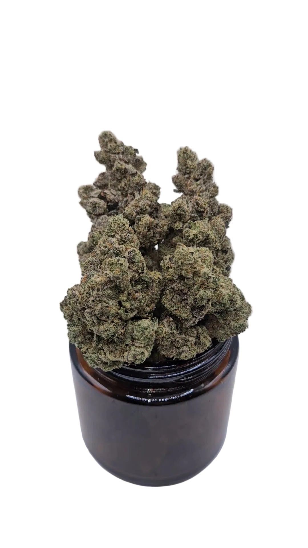Next Level - Top Shelf Indoor