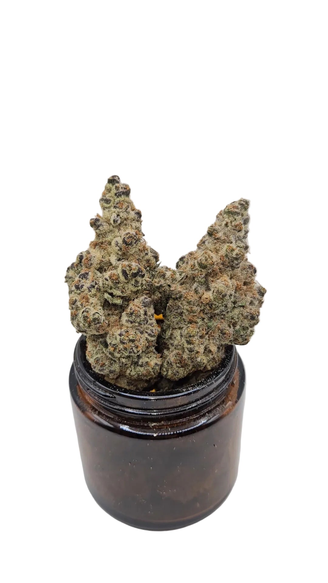 Dante's Inferno - Top Shelf Indoor