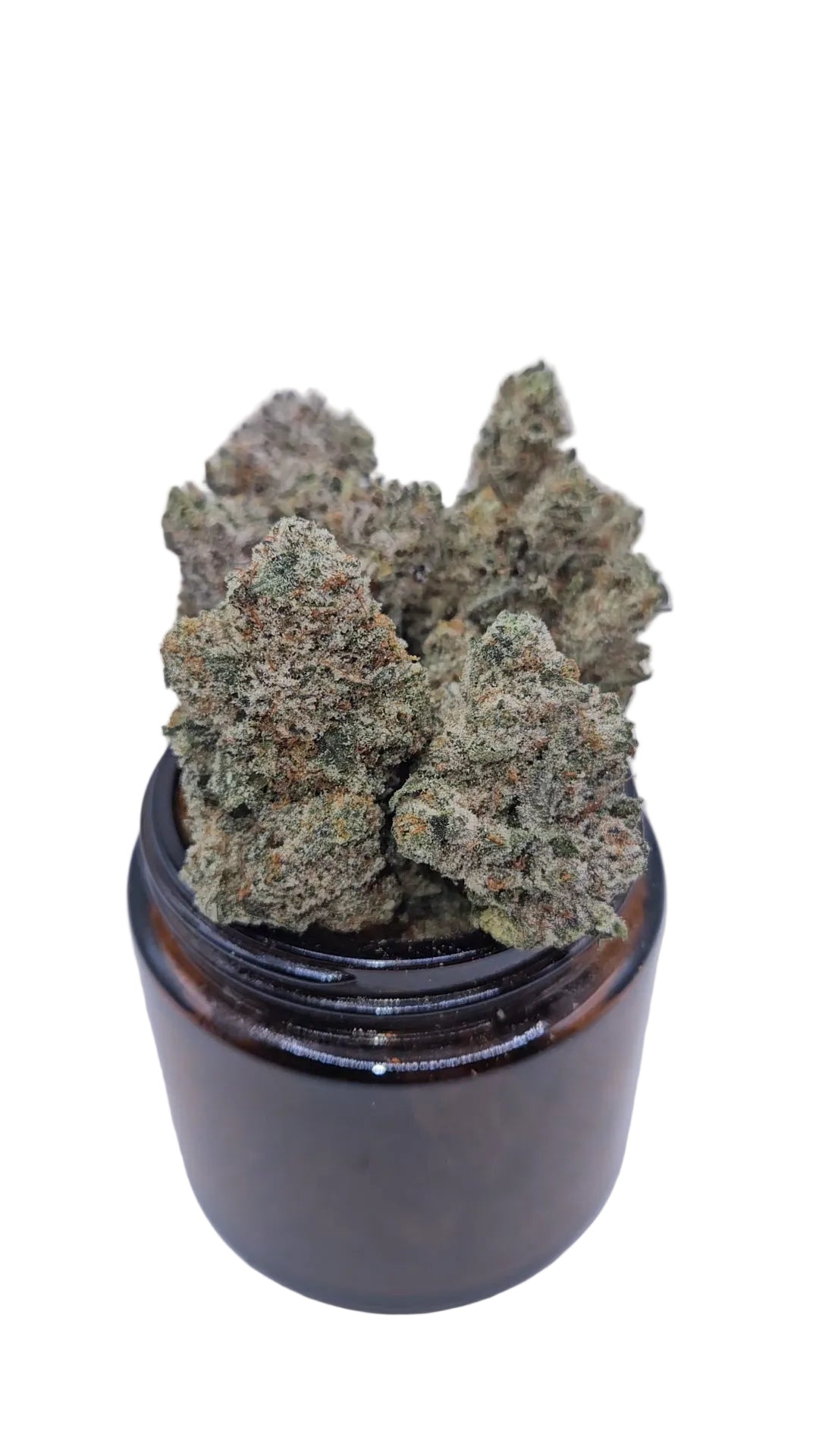 Bacio - Top Shelf Indoor