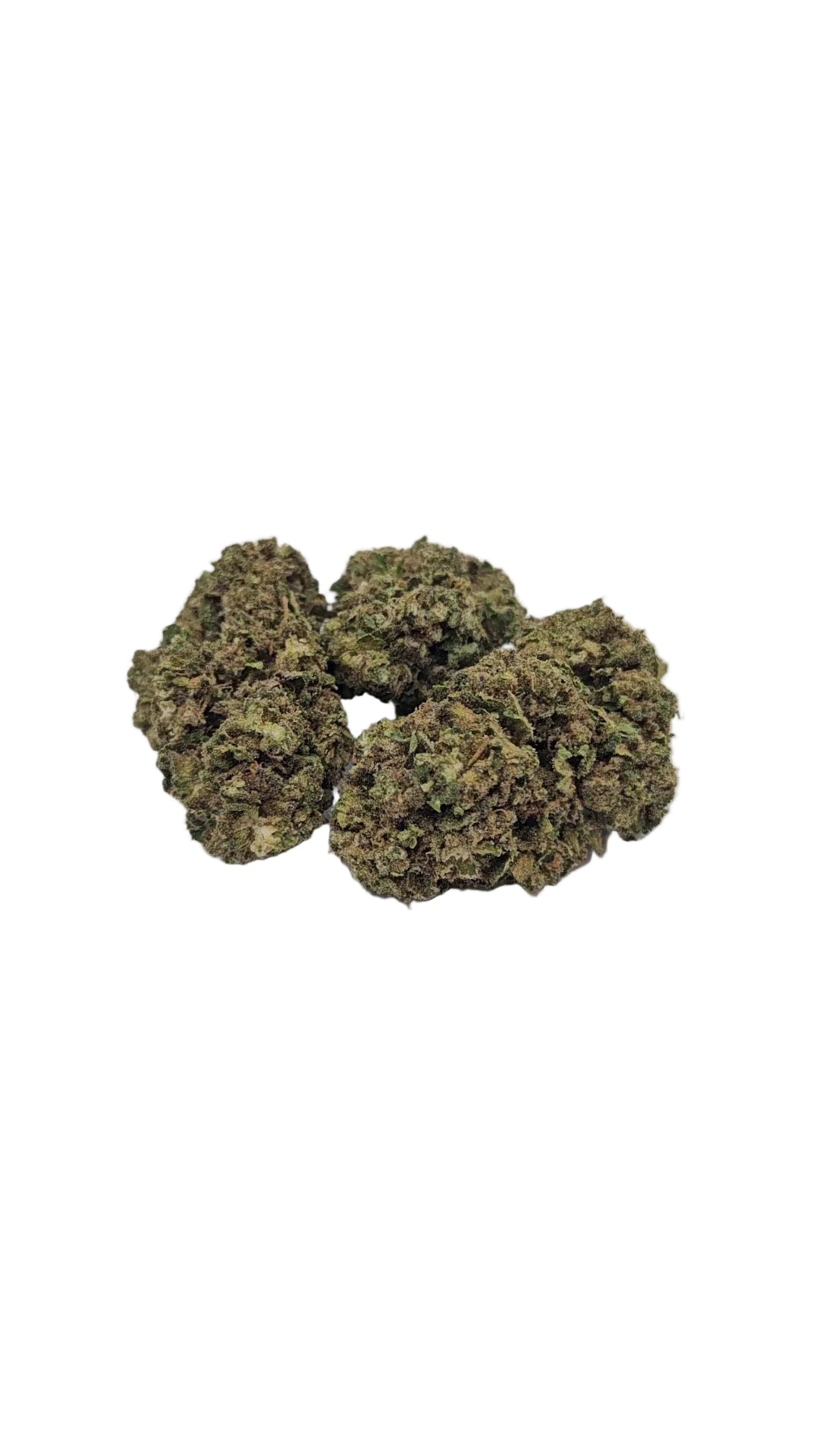 Horchata - Greenhouse Flower