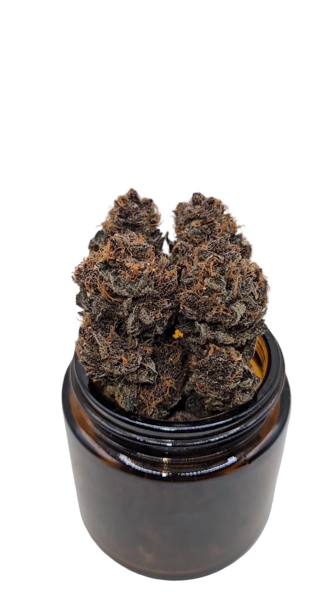 Forbidden Fruit - Top Shelf Indoor