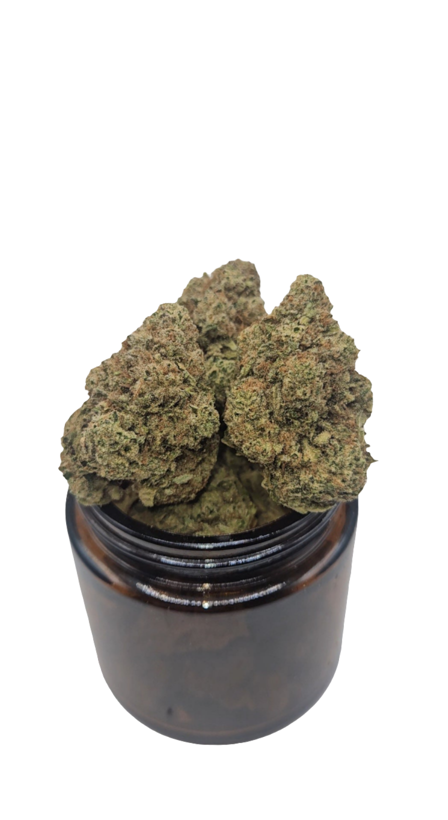 Cherry Bands - Indoor