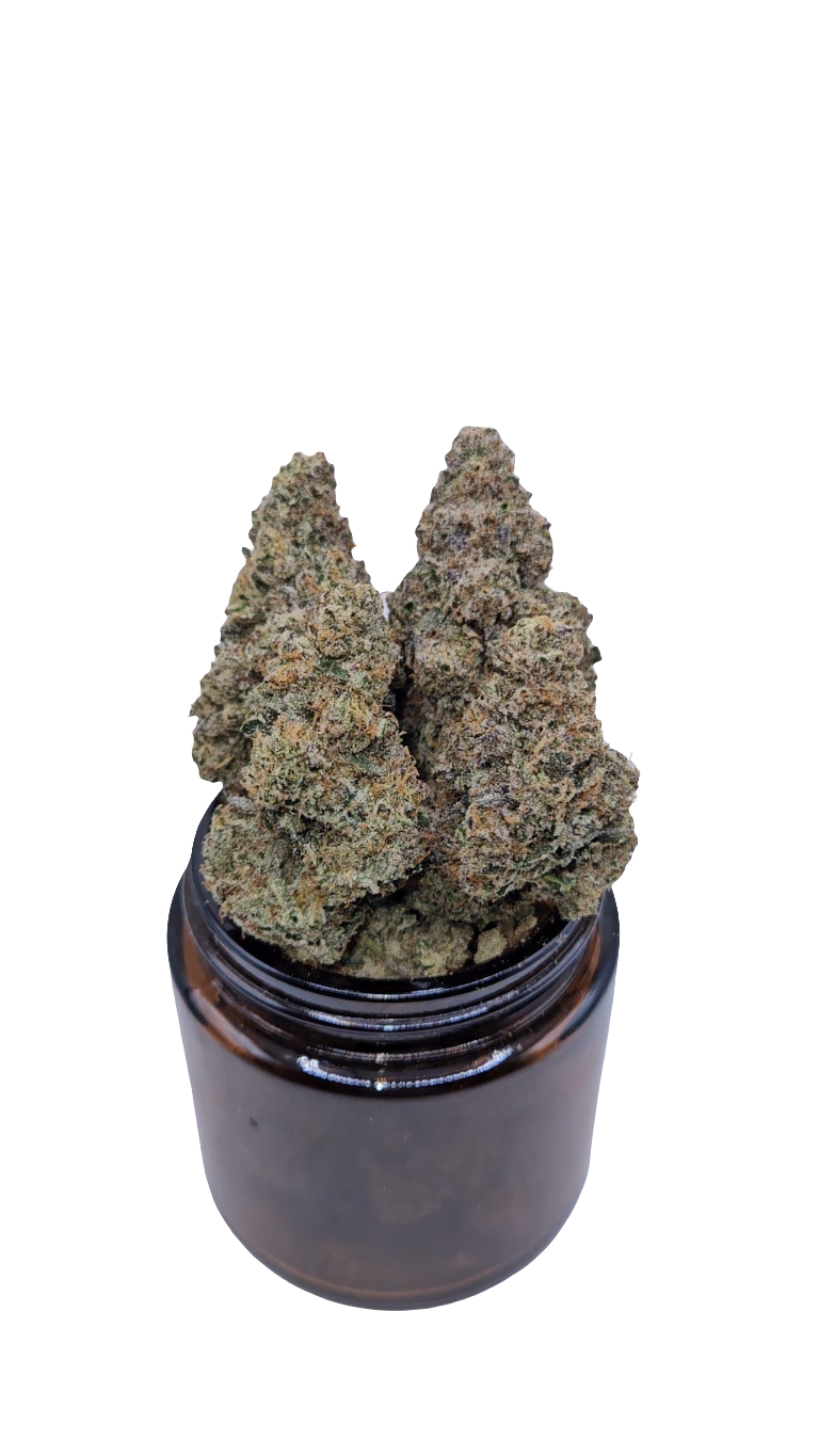 Purple Punch - Top Shelf Indoor
