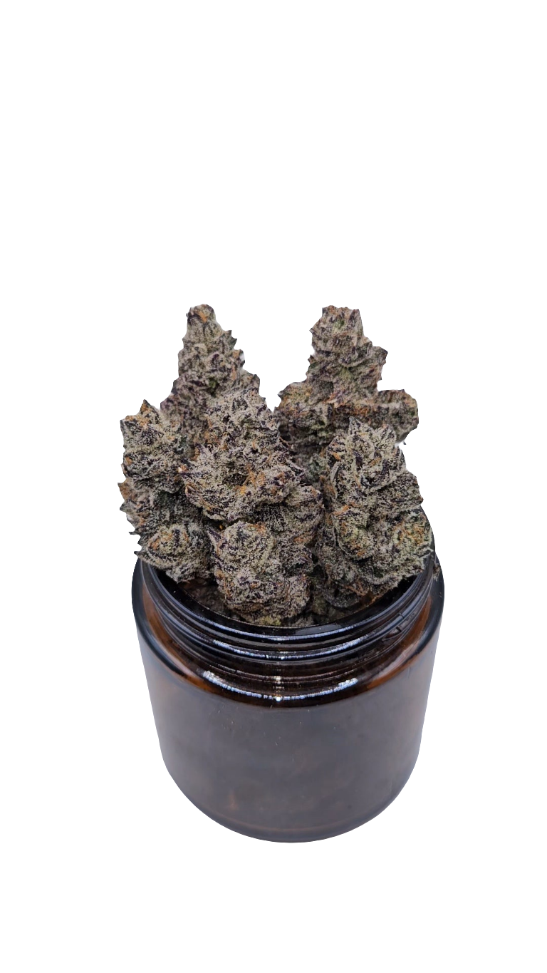 White Truffle - Top Shelf Indoor