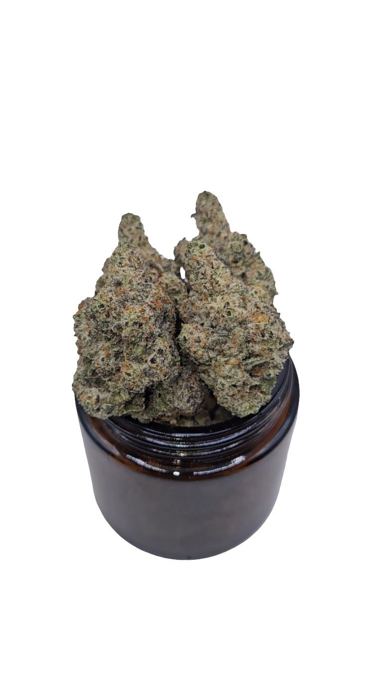 SPLASH! - Top Shelf Indoor