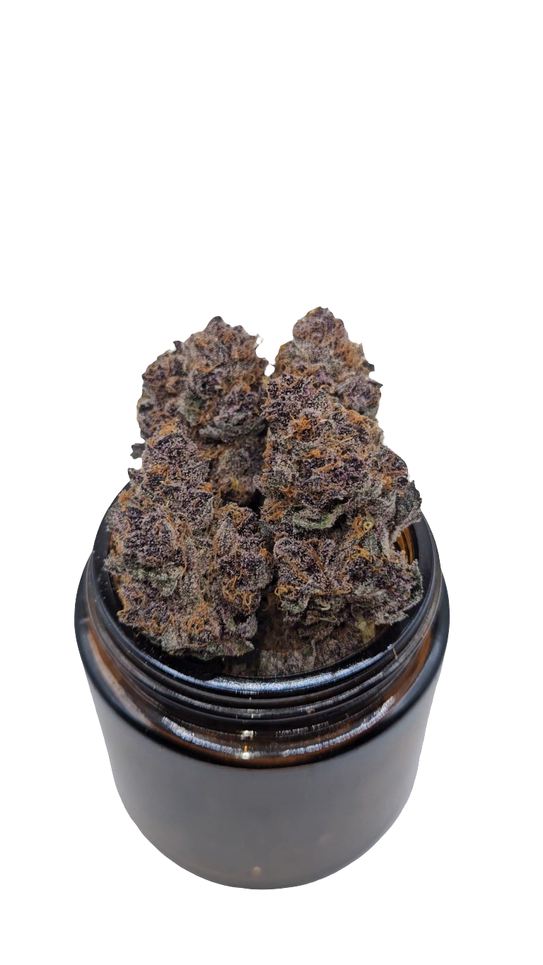 Tropicana Cherry - Top Shelf Indoor