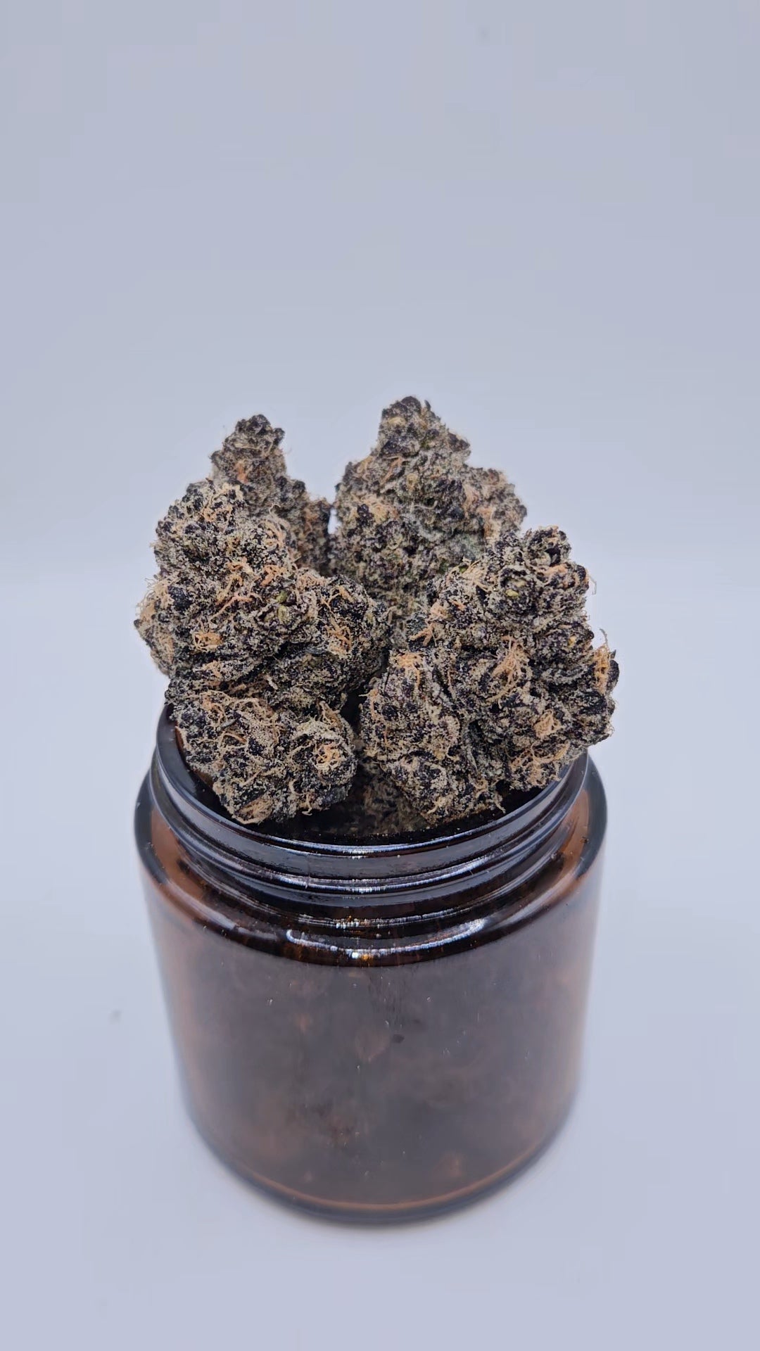Cherimoya - Top Shelf Indoor