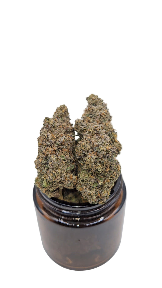 Permanent Jealousy - Top Shelf Indoor