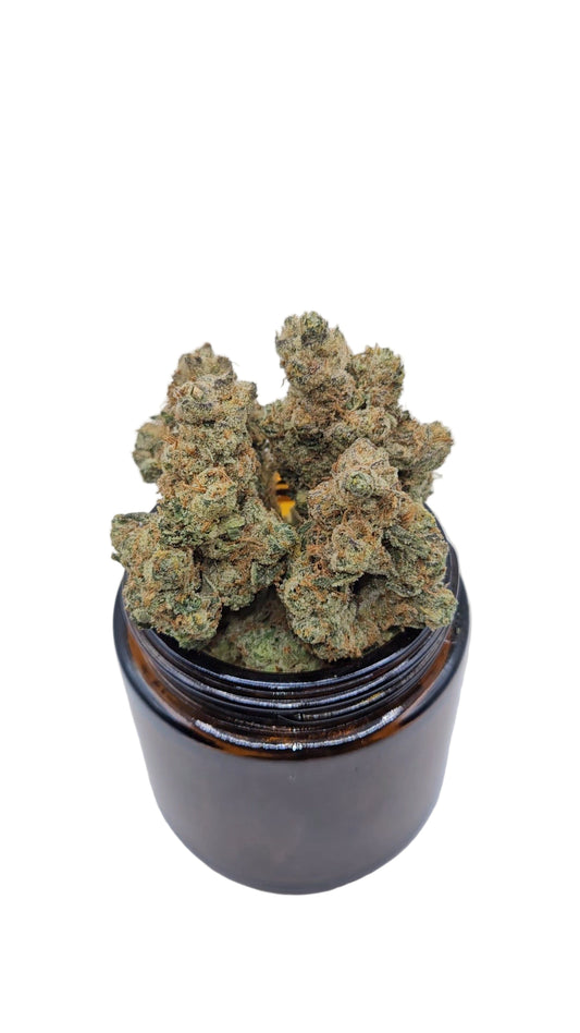 GMO - Top Shelf Indoor