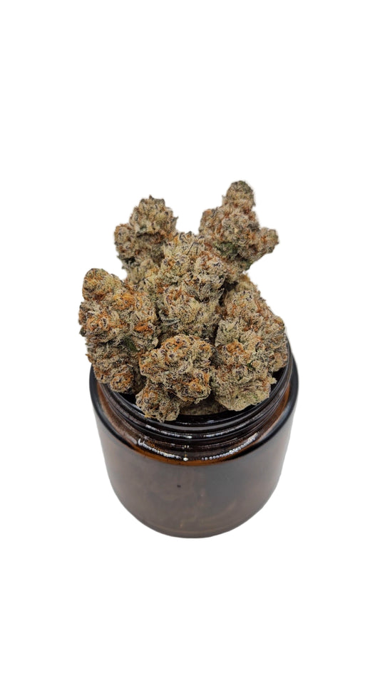 Slurricane - Top Shelf Indoor