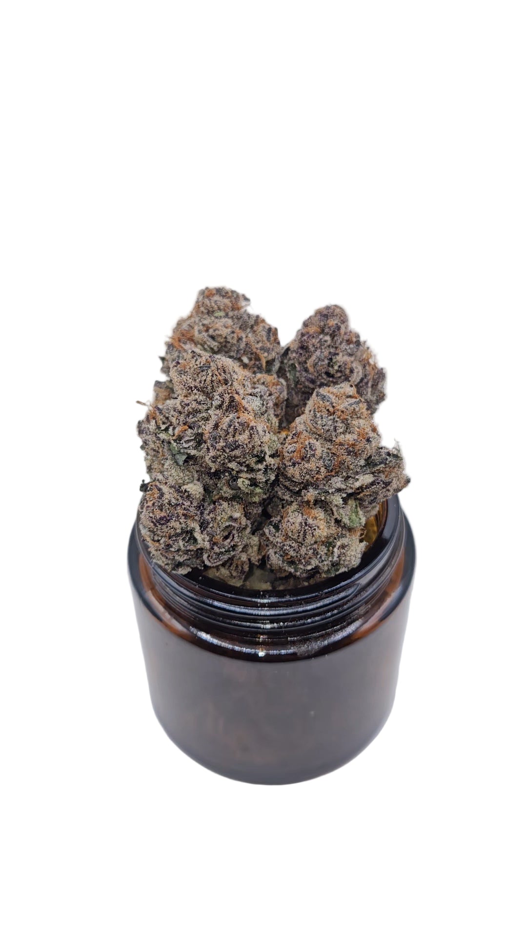 Mimosa - Top Shelf Indoor