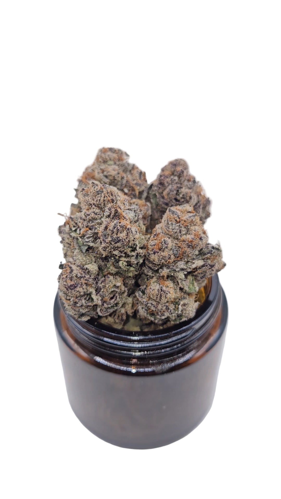 Mimosa - Top Shelf Indoor