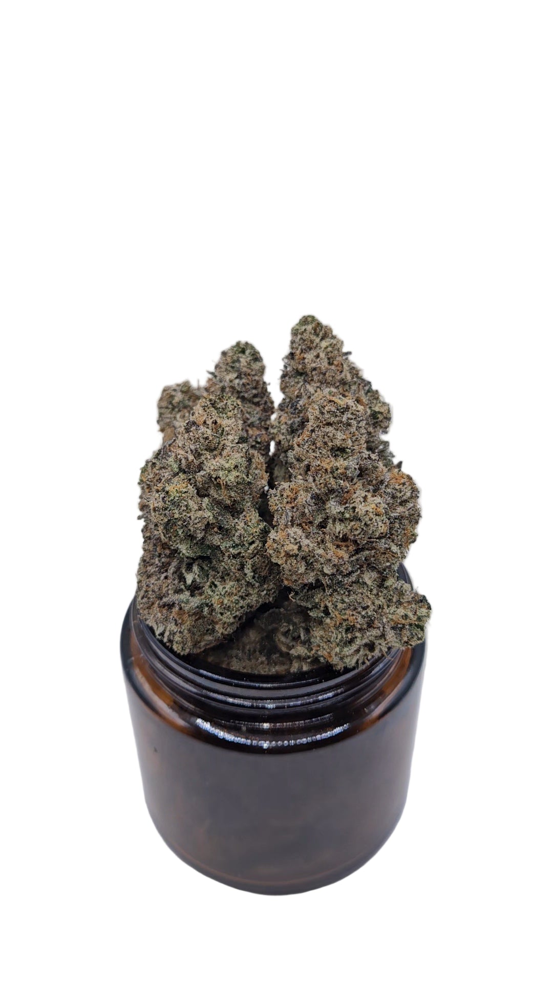 Larry Bird (Gelato #33) - Top Shelf Indoor