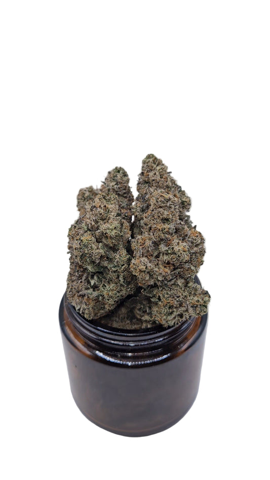 Larry Bird (Gelato #33) - Top Shelf Indoor