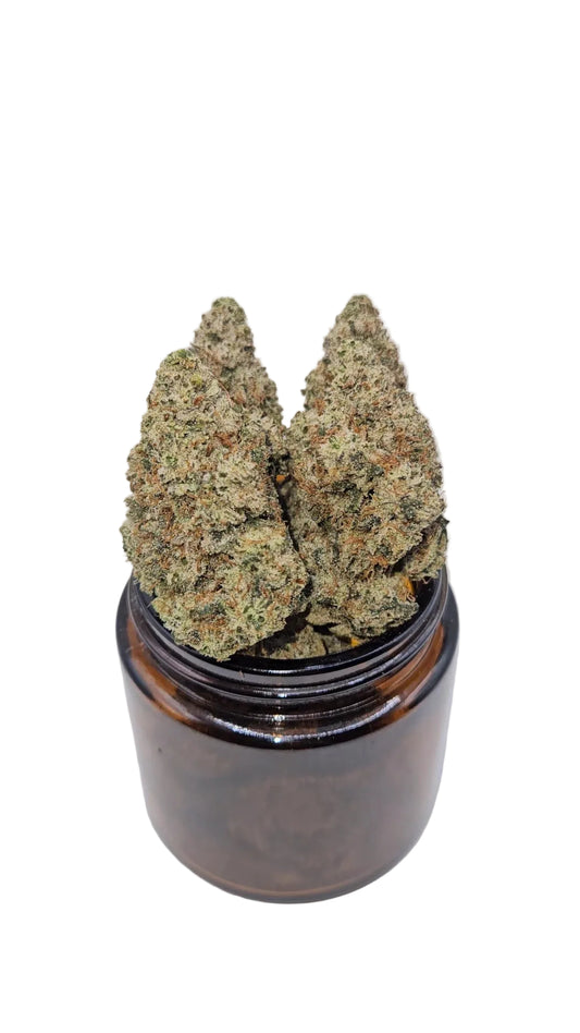 Ghost OG - Top Shelf Indoor