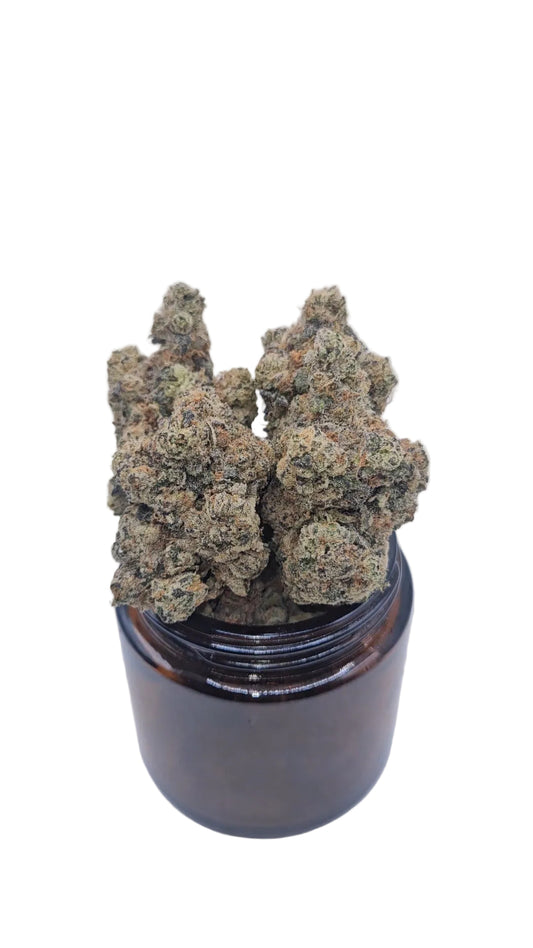 LA Pop Rocks - Top Shelf Indoor