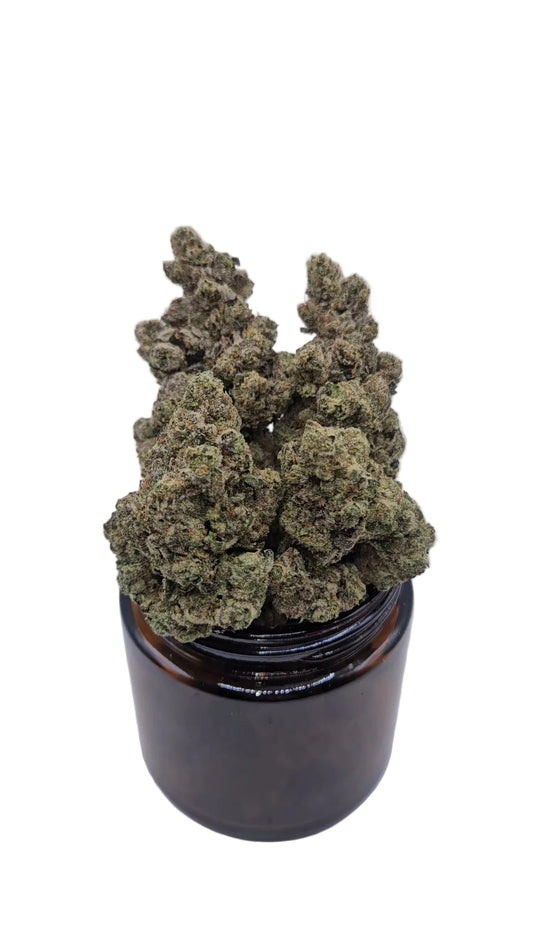 Next Level - Top Shelf Indoor