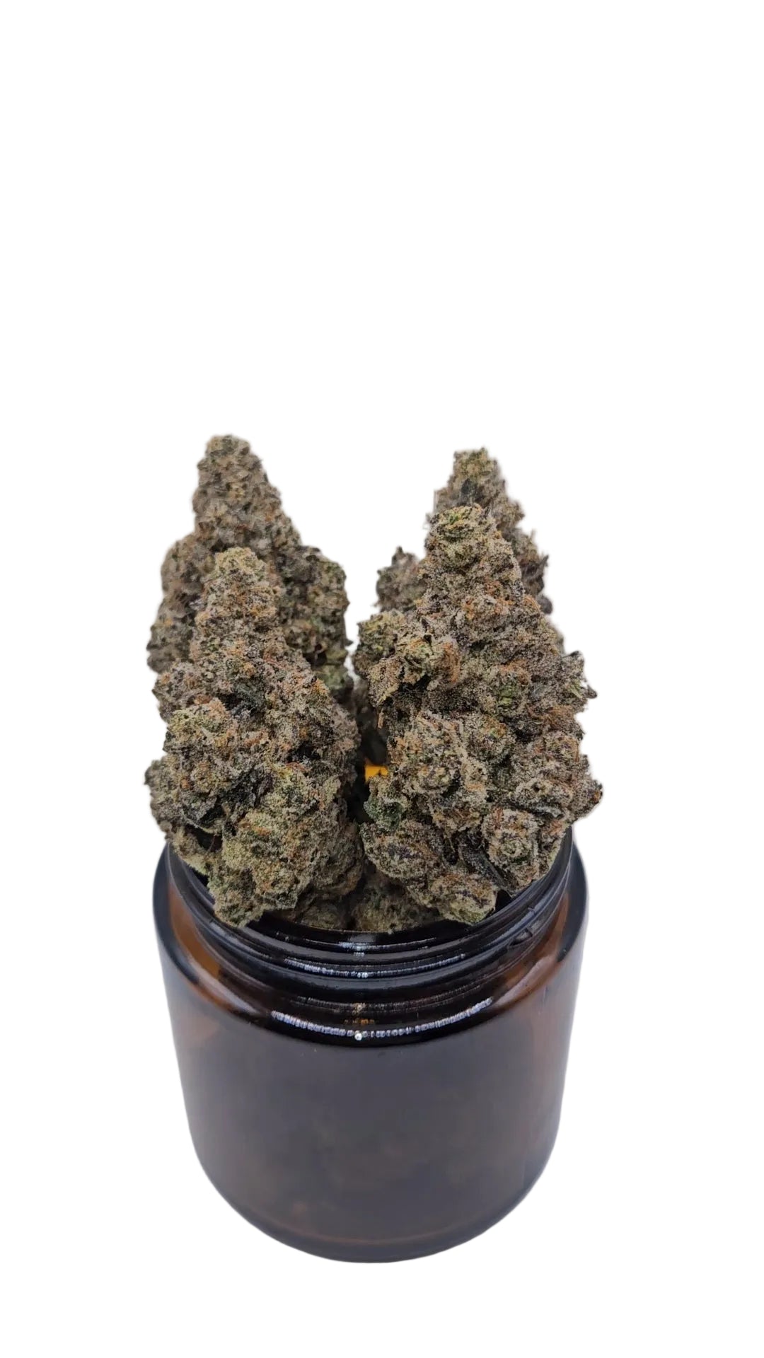 First Class Gas - Top Shelf Indoor
