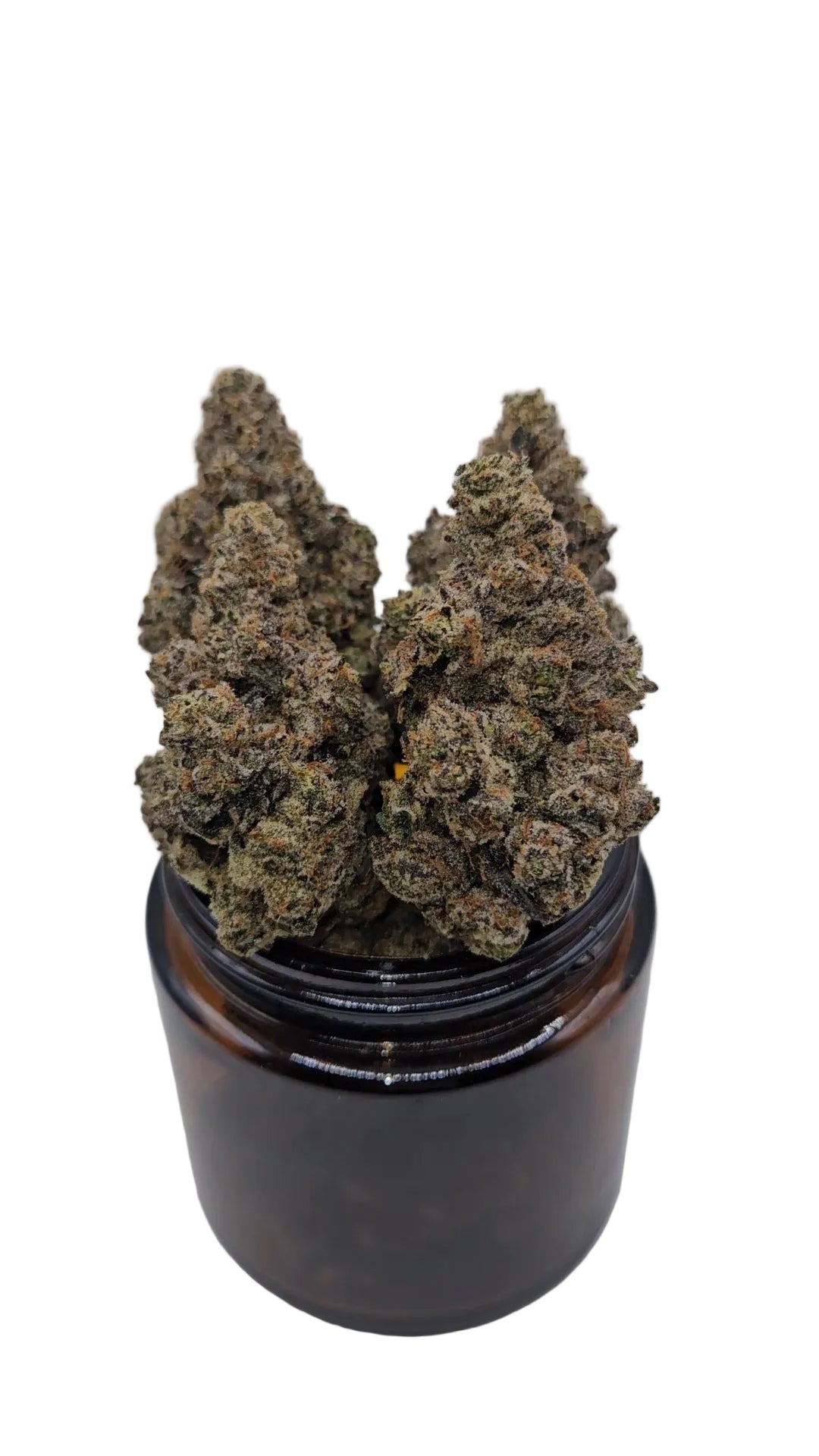 First Class Gas - Top Shelf Indoor
