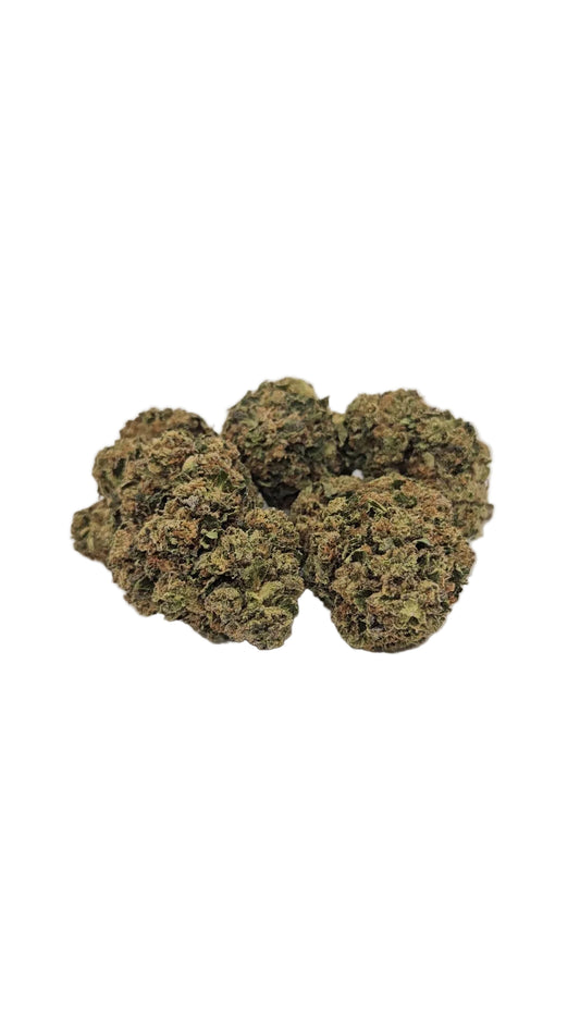 Sherbert Cream Pie - Greenhouse Flower