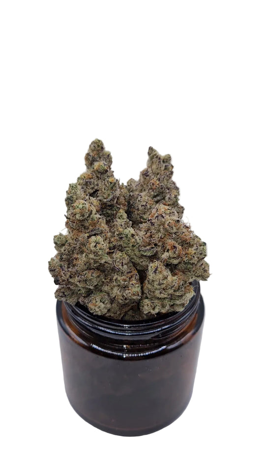 Chimera Junky - Top Shelf Indoor