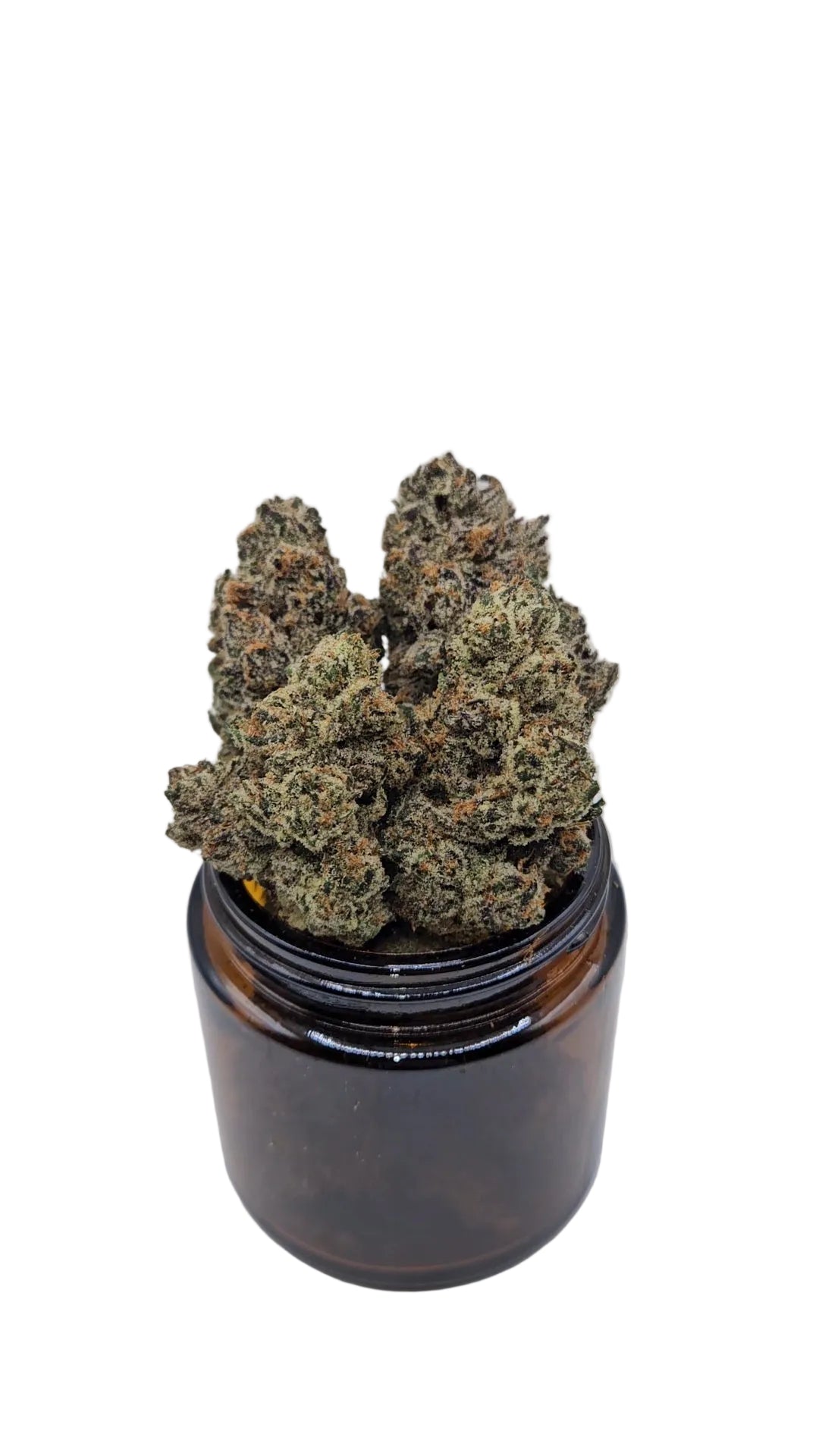 White Truffle Mints - Top Shelf Indoor