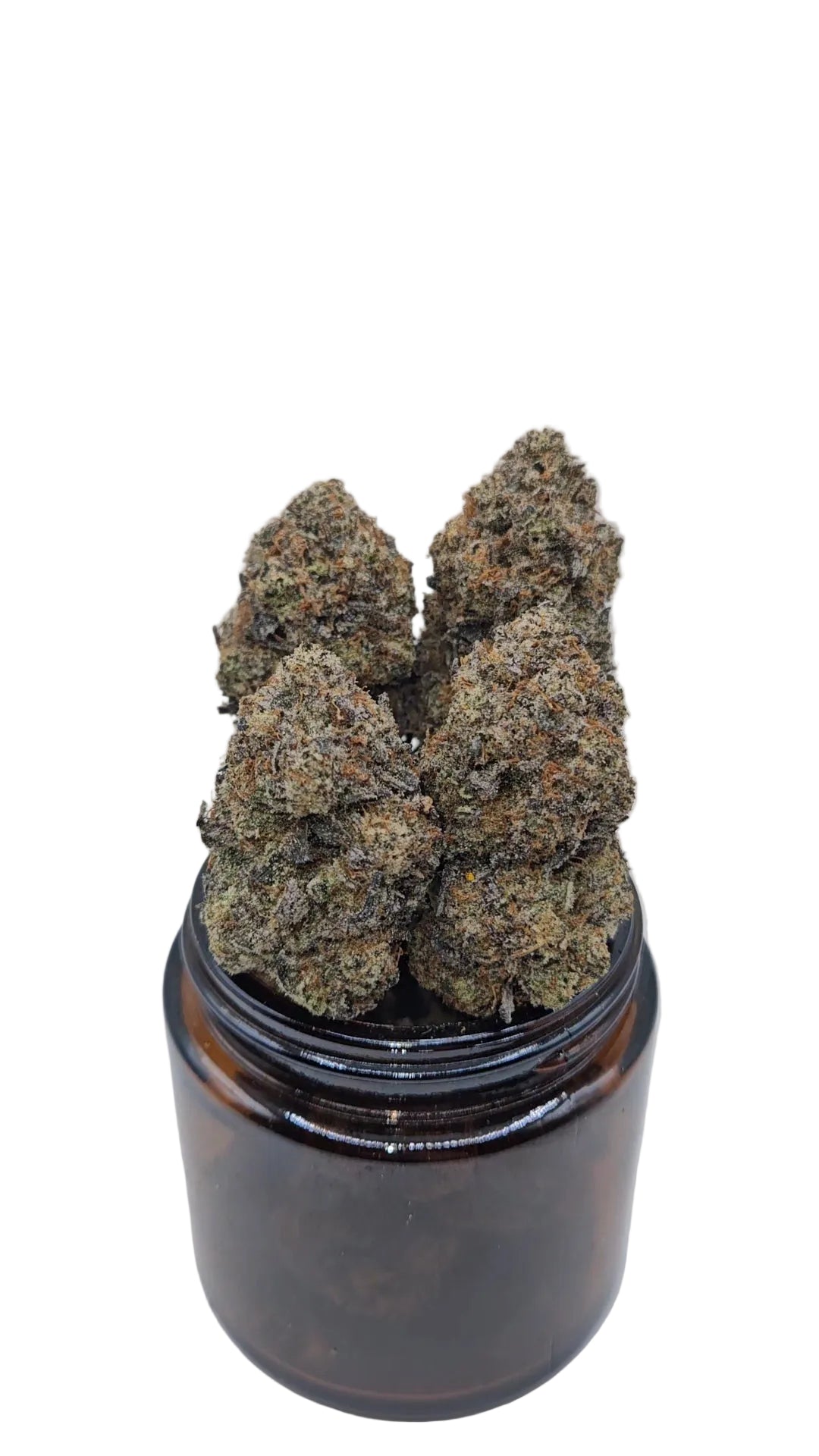 Slapz - Top Shelf Indoor