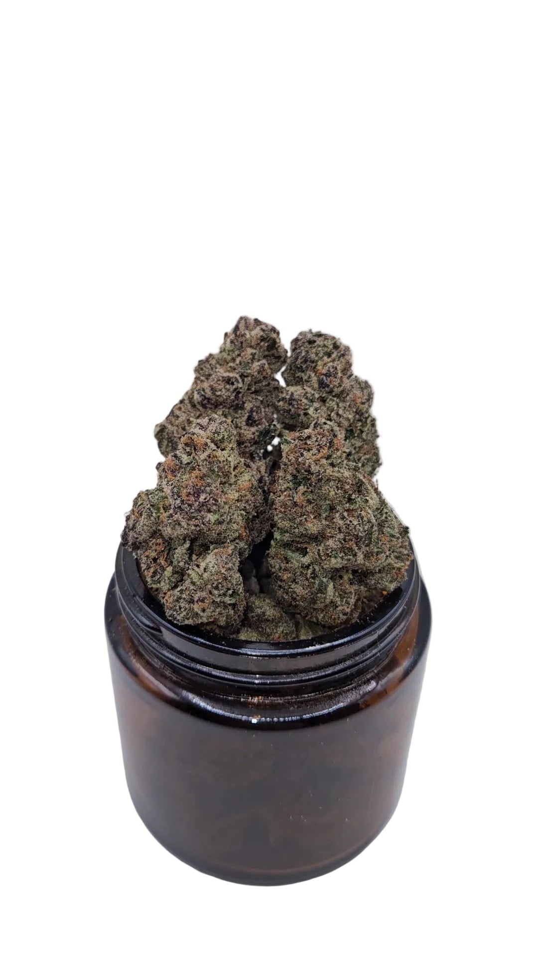Halle Berry - Top Shelf Indoor