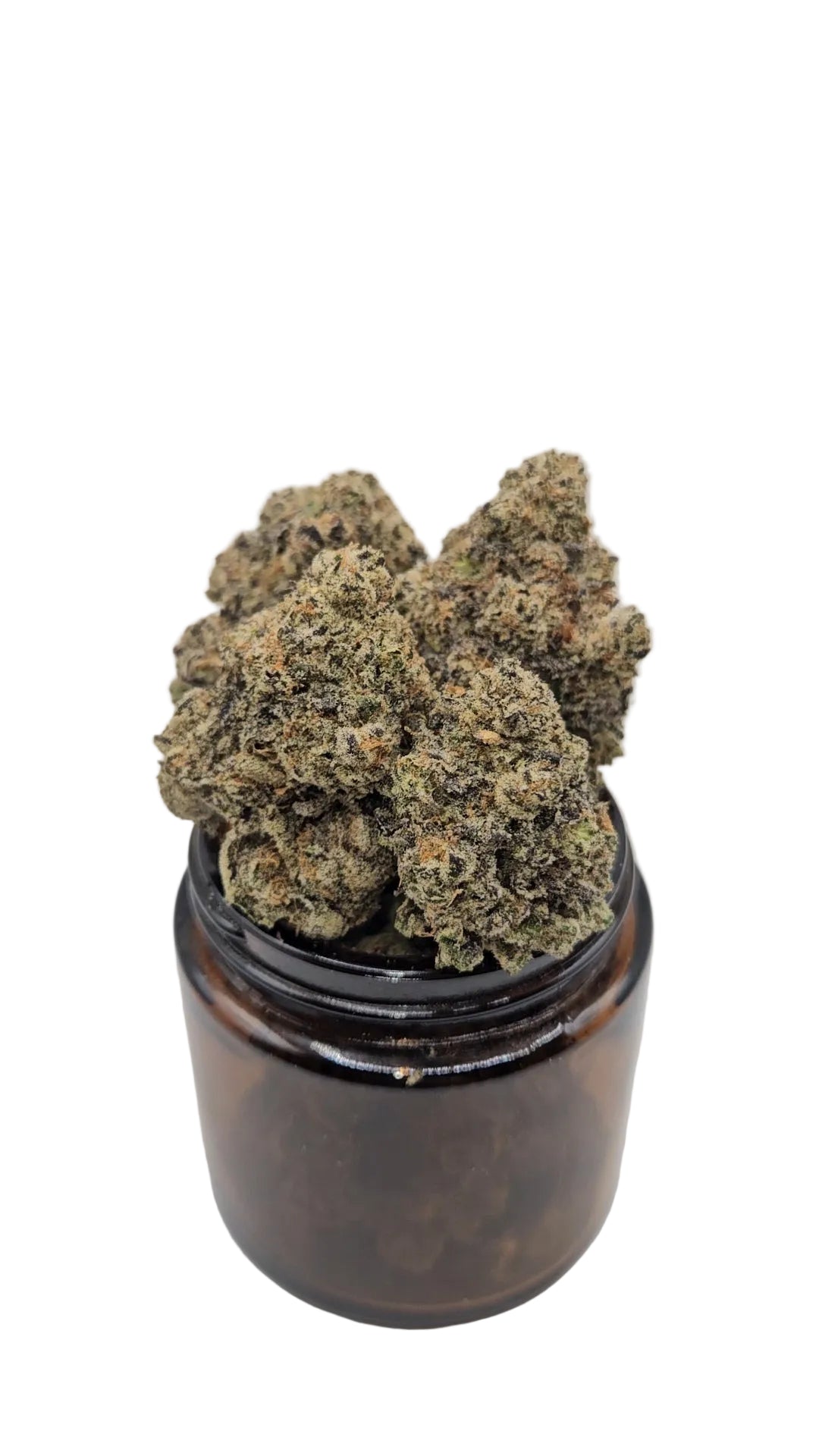 LA Pop Rocks - Top Shelf Indoor