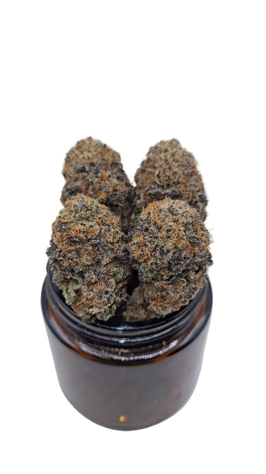 Sunset Sherbert - Top Shelf Indoor