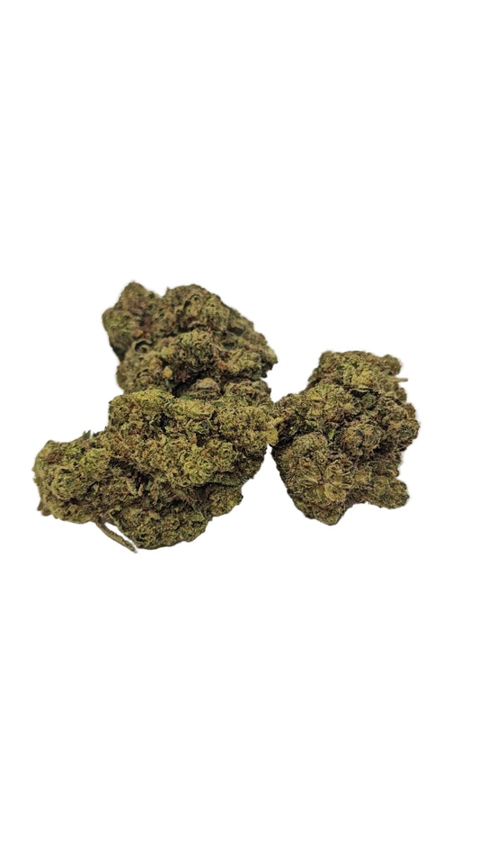 Clementine - Greenhouse Flower