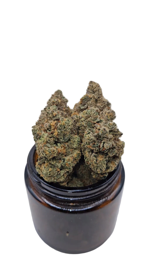 Cereal Milk - Top Shelf Indoor