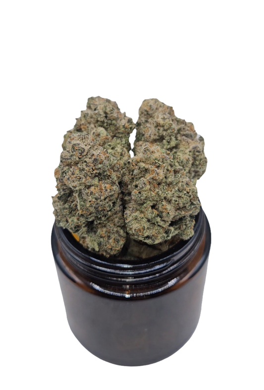 SPLASH! - Top Shelf Indoor