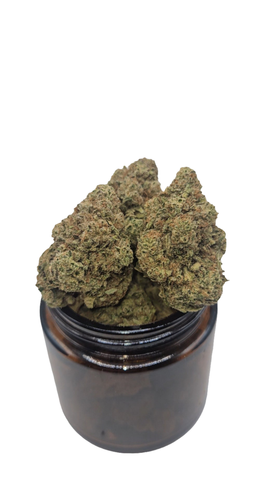 Cherry Bands - Indoor
