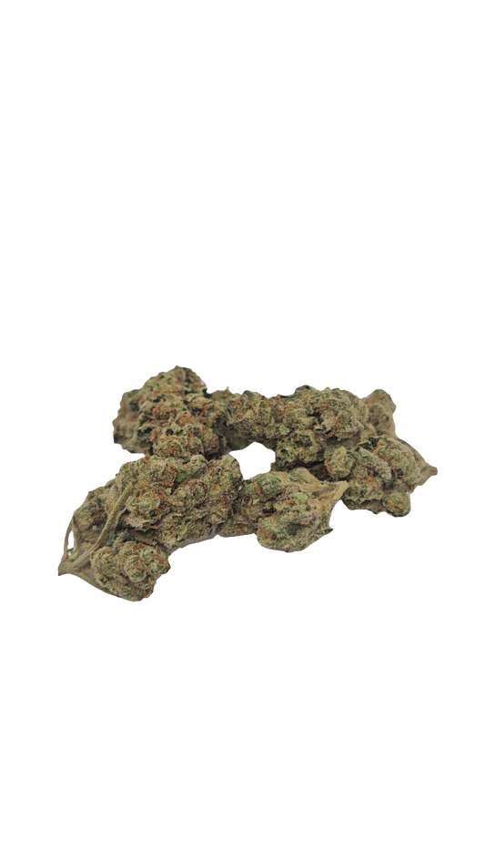 E-85 - '2025 Greenhouse Flower