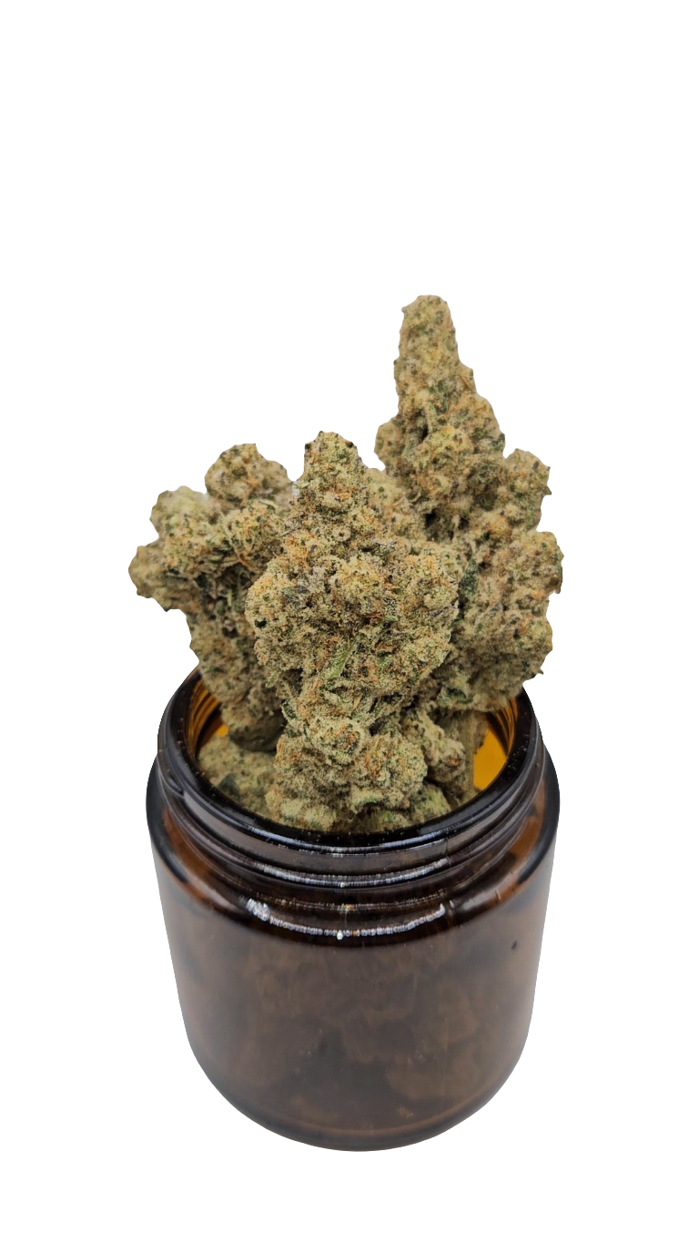 Cap Junky - Top Shelf Indoor