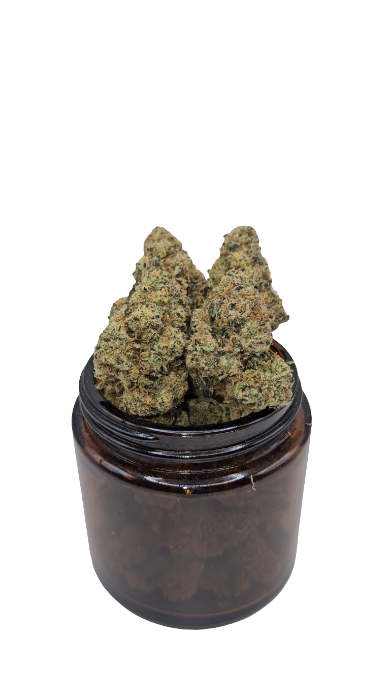 Banana Biscotti - Top Shelf Indoor