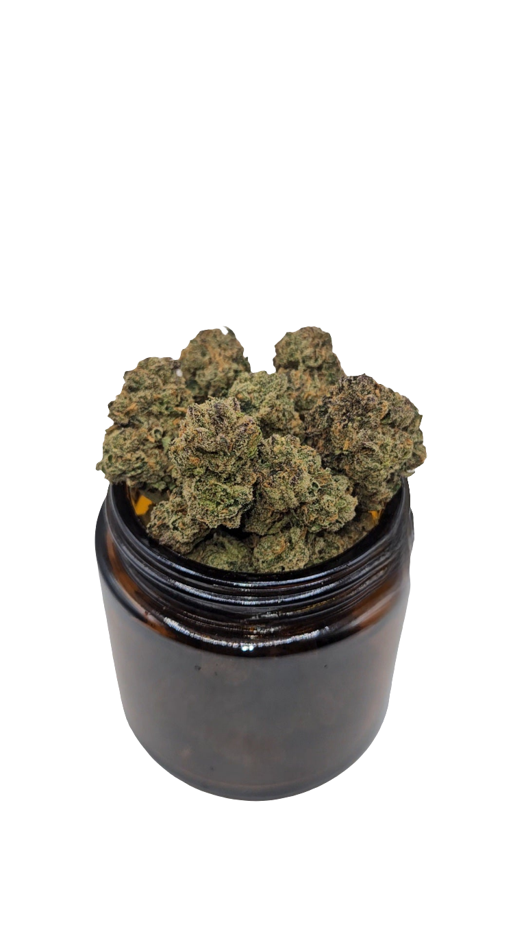 Rainbow Zkittlez - Indoor