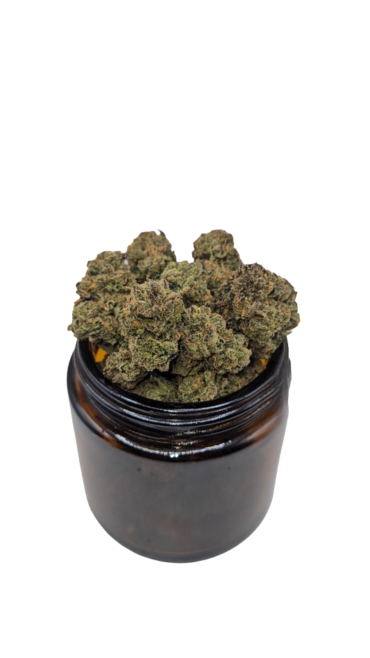 Rainbow Zkittlez - Indoor