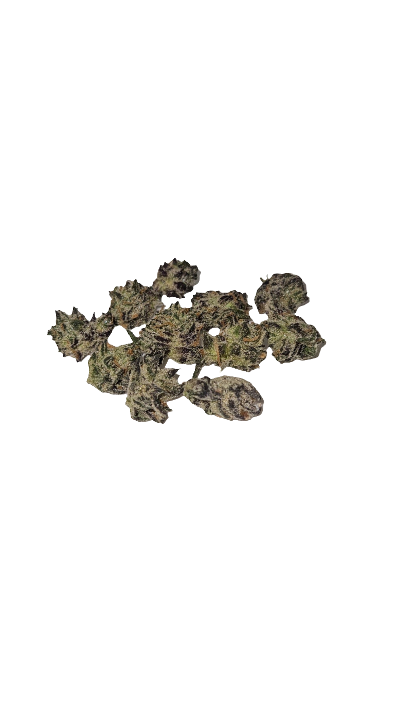 White Truffle - Indoor Popcorn Nugs