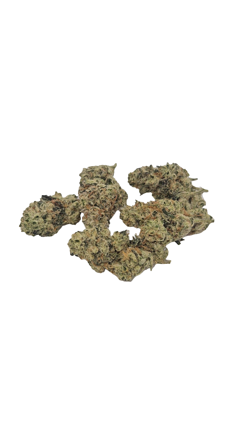 Grease Monkey - Indoor