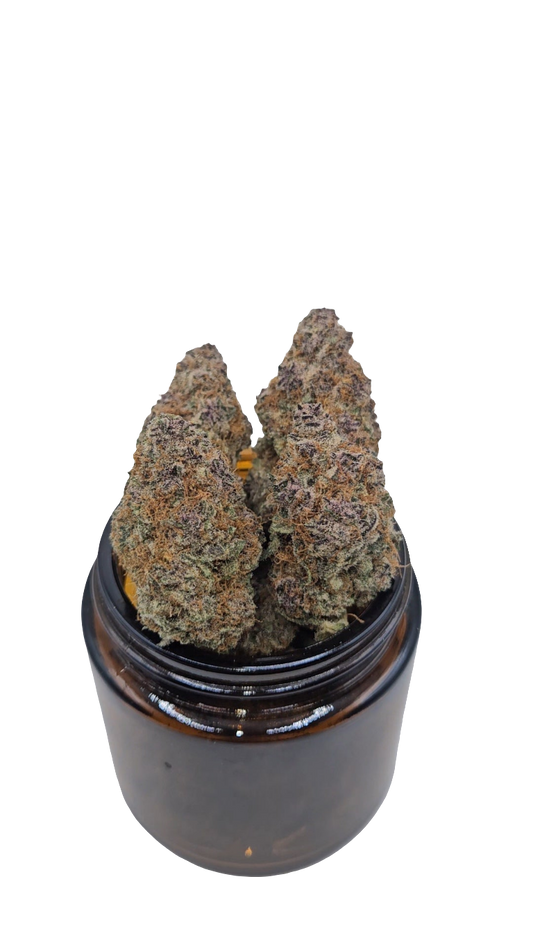 Tropicana Cherry - Top Shelf Indoor
