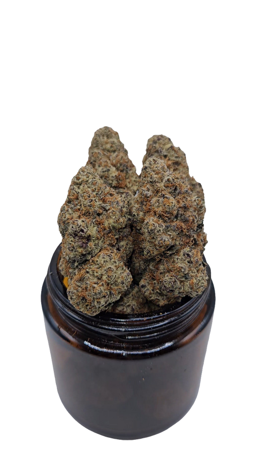 Hypothermia - Top Shelf Indoor