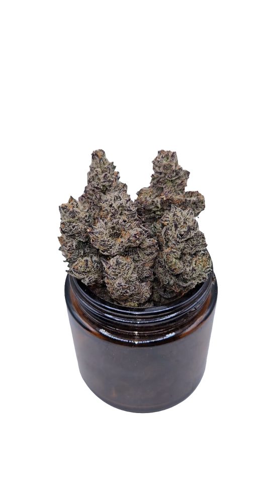 White Truffle - Top Shelf Indoor