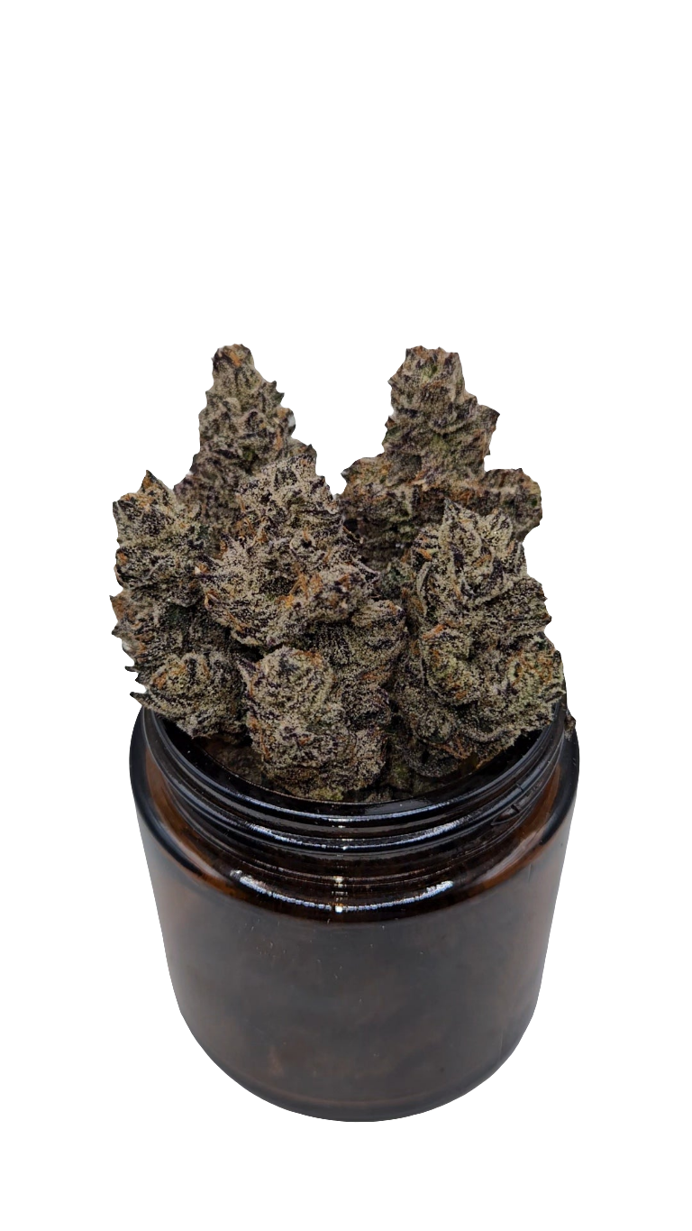 White Truffle - Top Shelf Indoor